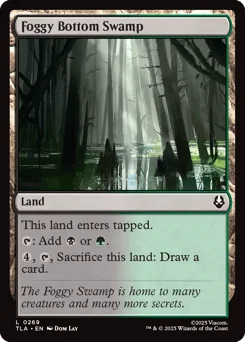 Foggy Bottom Swamp