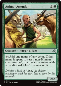 Animal Attendant