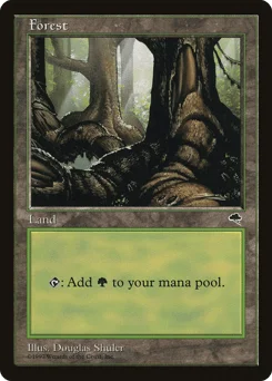 Forest