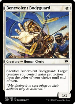 Benevolent Bodyguard