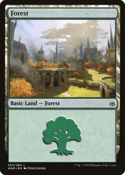 Forest