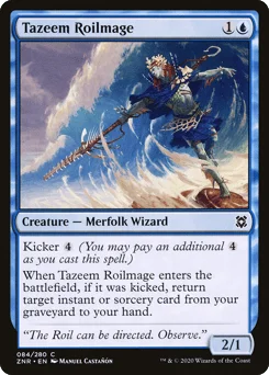 Tazeem Roilmage