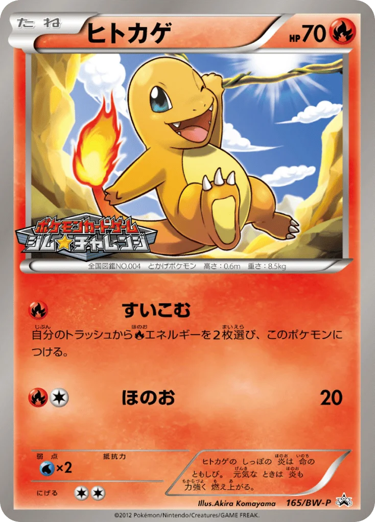 Charmander · Black & White Promos