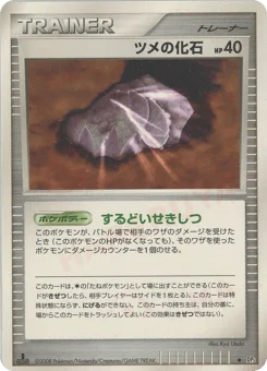 ツメの化石