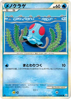 メノクラゲ
