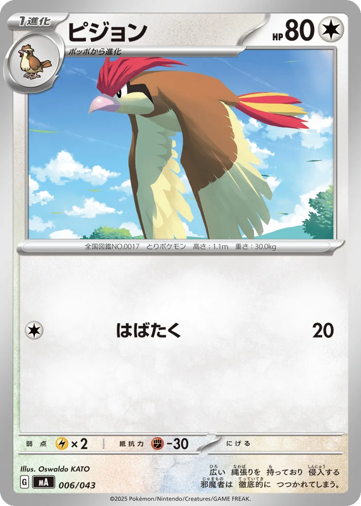 Pidgeotto · MEGA Premium Trainer Box