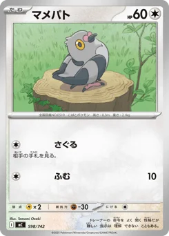 マメパト