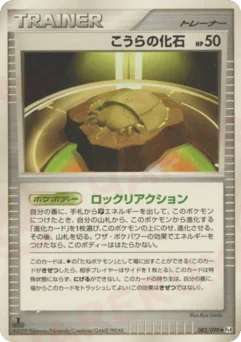 こうらの化石