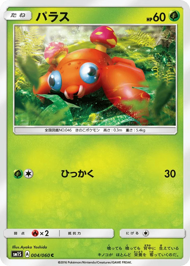 Paras · Collection Sun