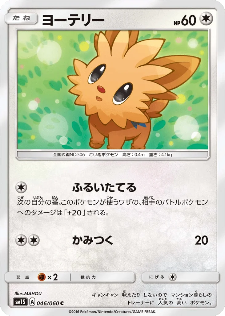 Lillipup · Collection Sun