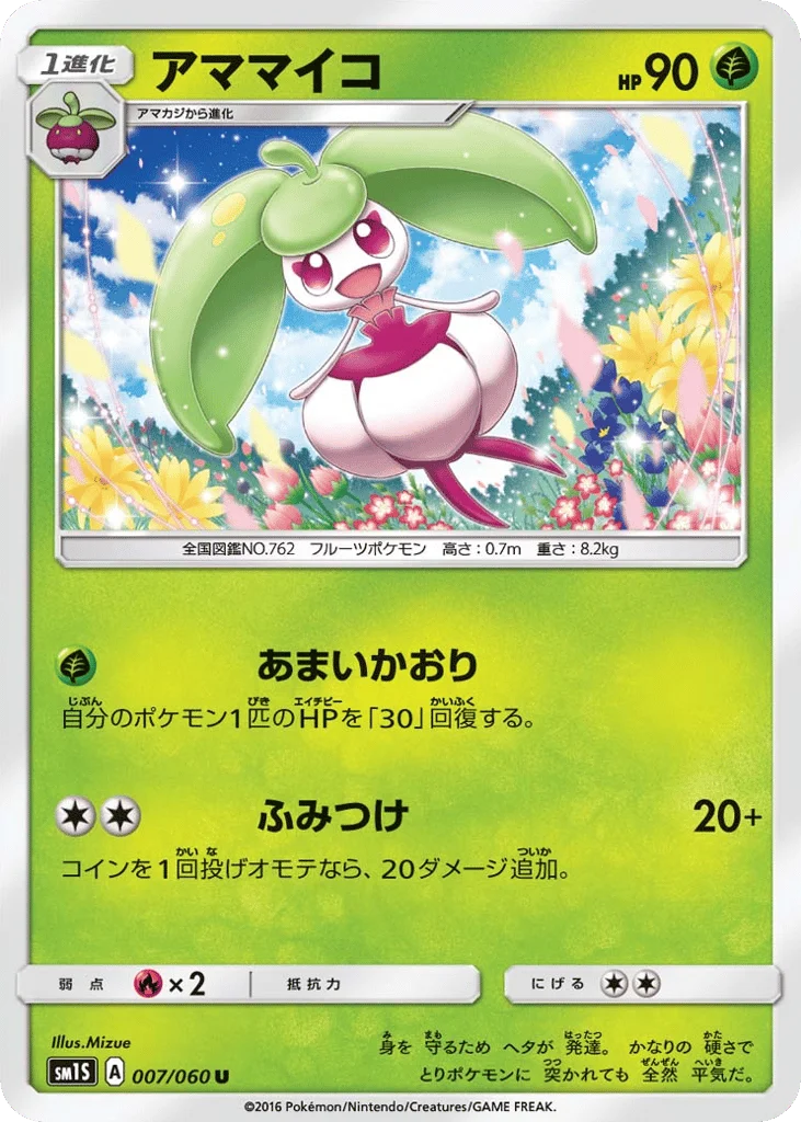 Steenee · Collection Sun