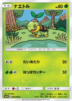 ナエトル