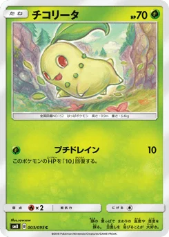 チコリータ