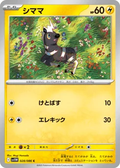 シママ