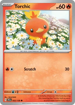 Torchic