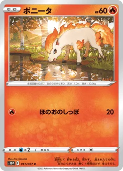 ポニータ