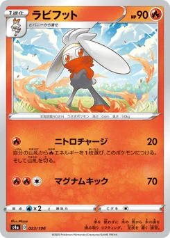 ラビフット