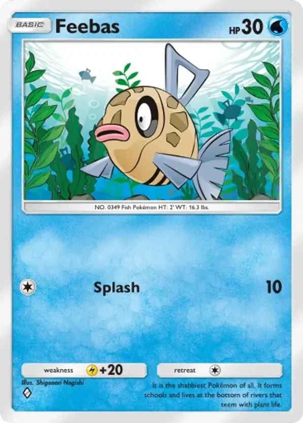 Feebas · Everyday Wonders
