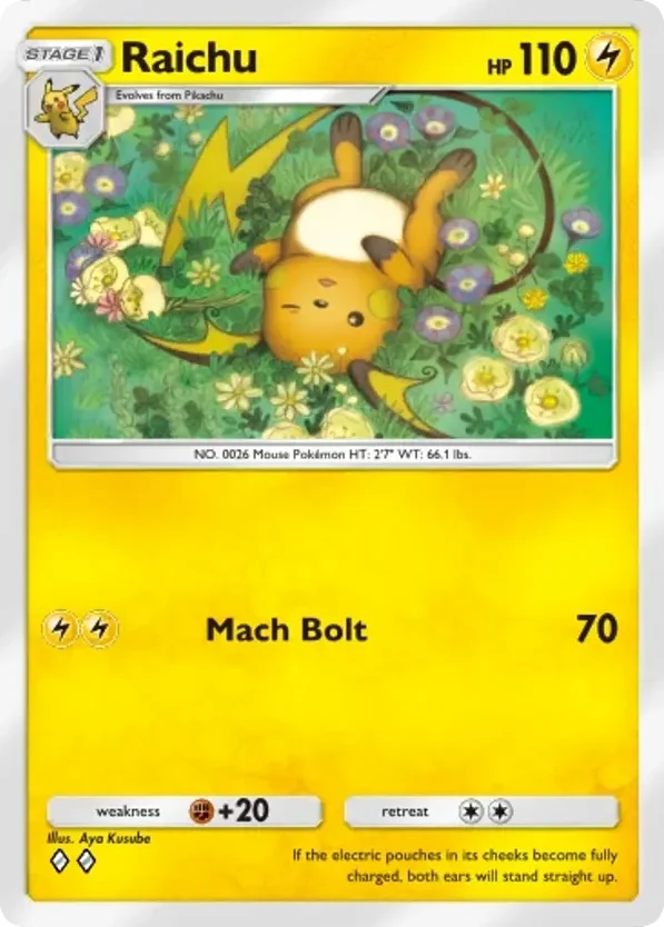 Raichu · Everyday Wonders
