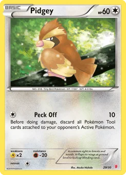 Pidgey