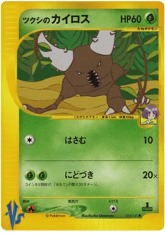 ツクシのカイロス