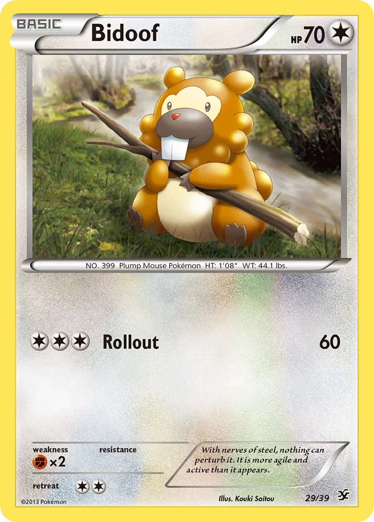Bidoof · Kalos Starter Set