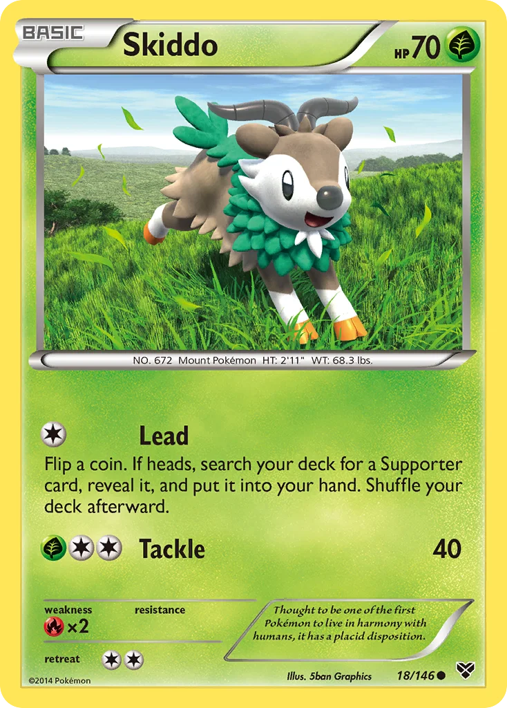 Skiddo · XY