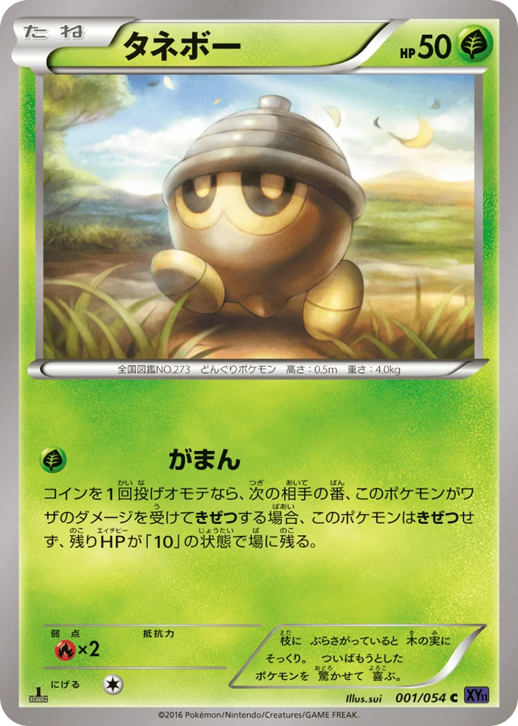 Seedot · Fever-Burst Fighter