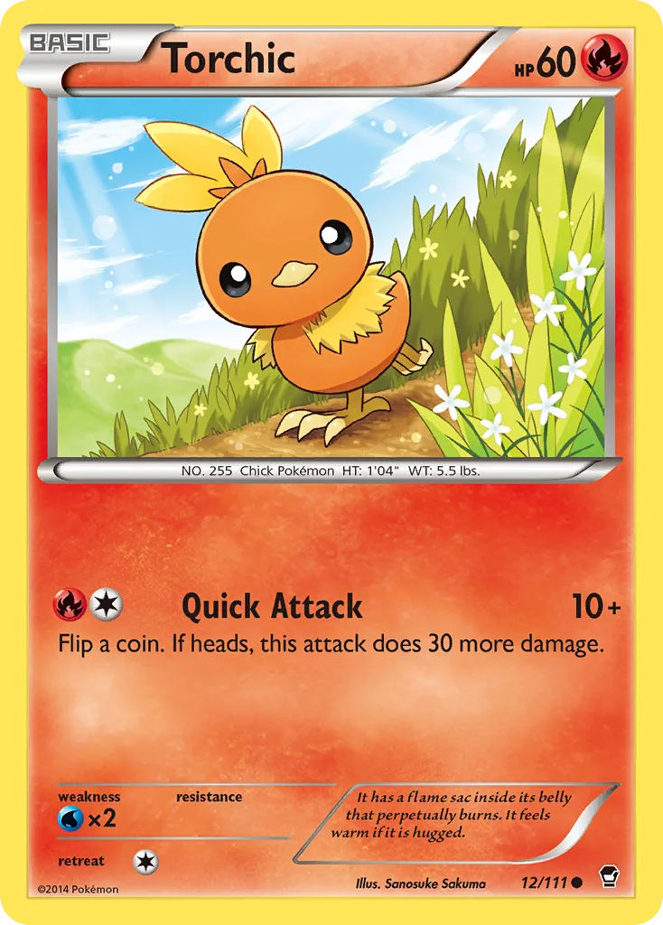 Torchic · Furious Fists