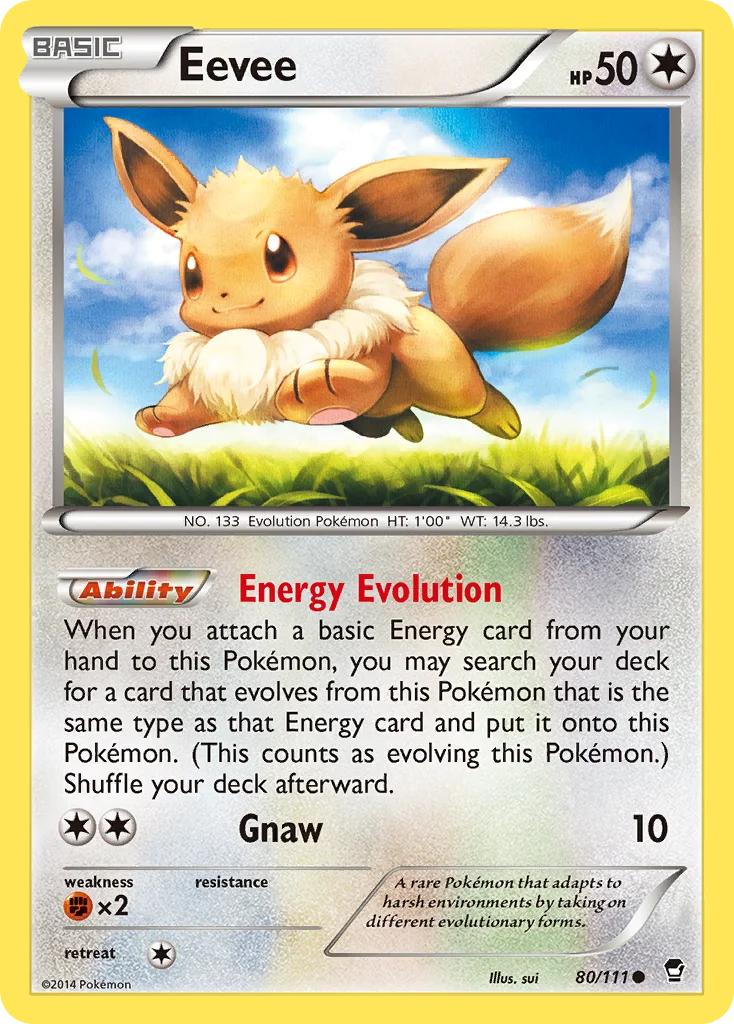 Eevee · Furious Fists
