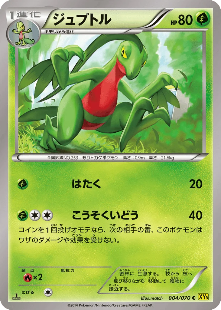 Grovyle · Gaia Volcano