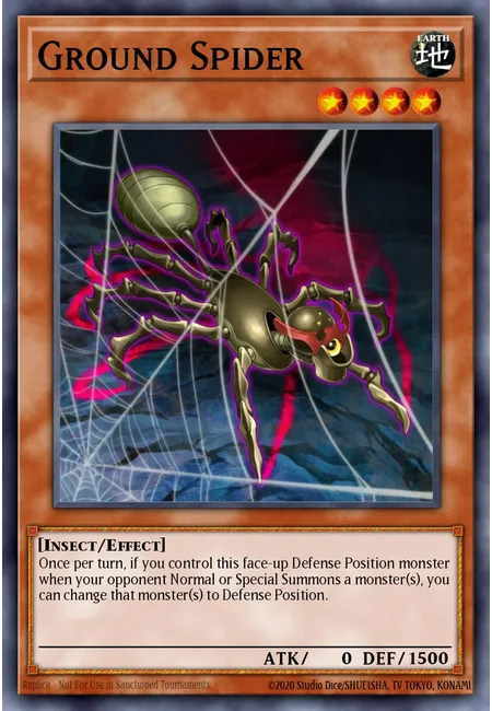 Ground Spider