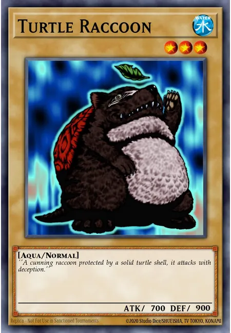 Turtle Raccoon