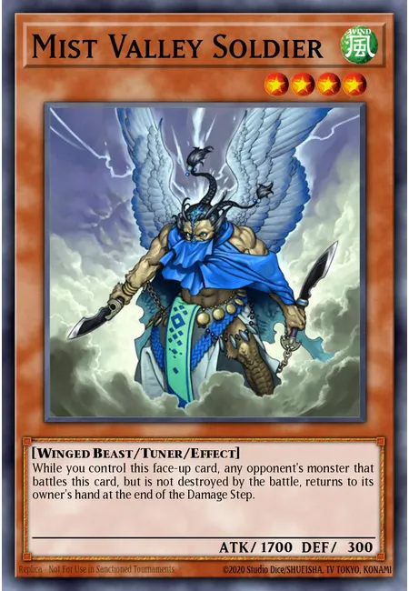 Mist Valley Soldier