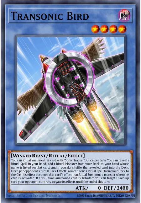 Transpássaro Sônico · Burst of Destiny