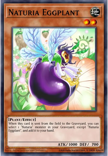 Naturia Eggplant