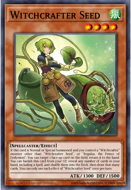 Witchcrafter Seed