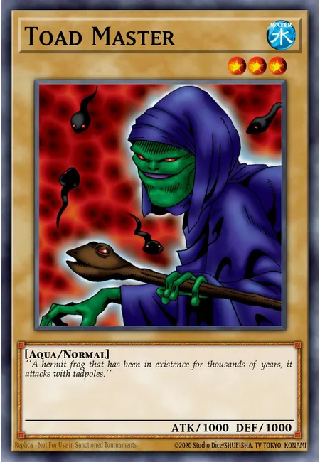 Mestre dos Sapos