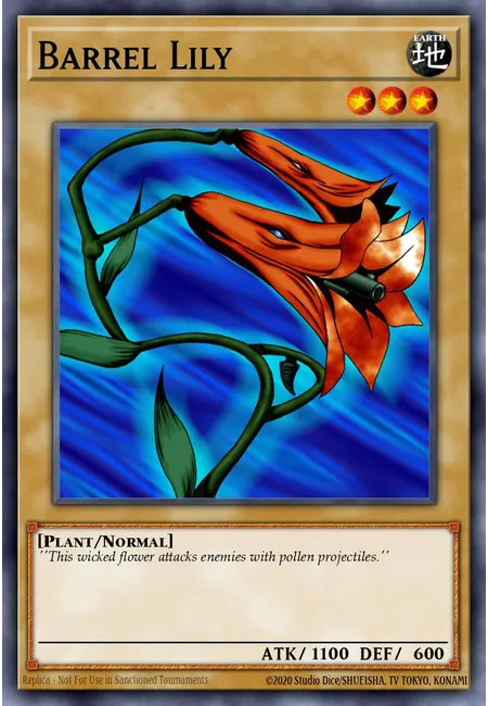 Barrel Lily