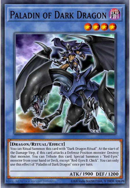 Paladin of Dark Dragon