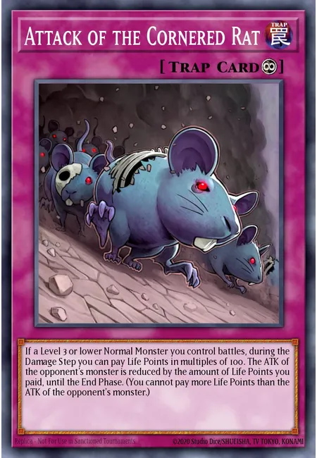 Attack of the Cornered Rat
