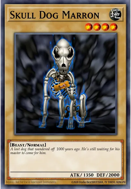 Skull Dog Marron