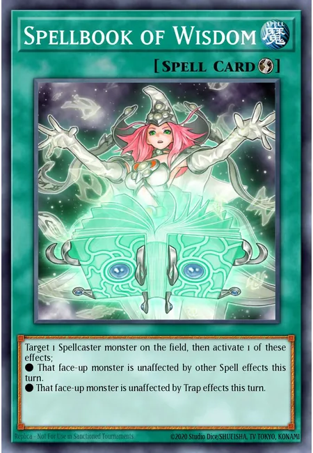 Spellbook of Wisdom